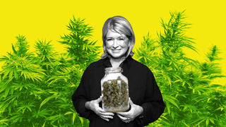 Rolling in the Green: 9 Celebrity Cannabis Enthusiasts Who Are Redefining the Stoner Stereotype